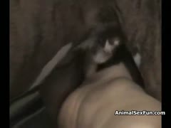 Sluts with Latin ebony cocks are particularly competitive with horses.